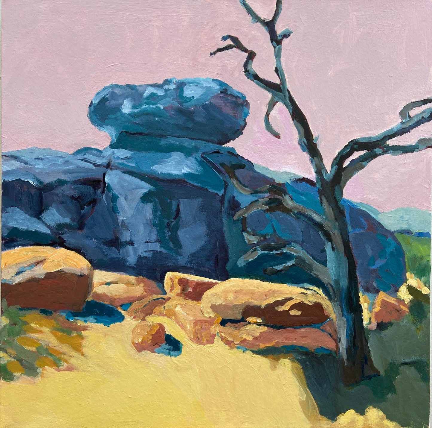 Desert Dreaming I