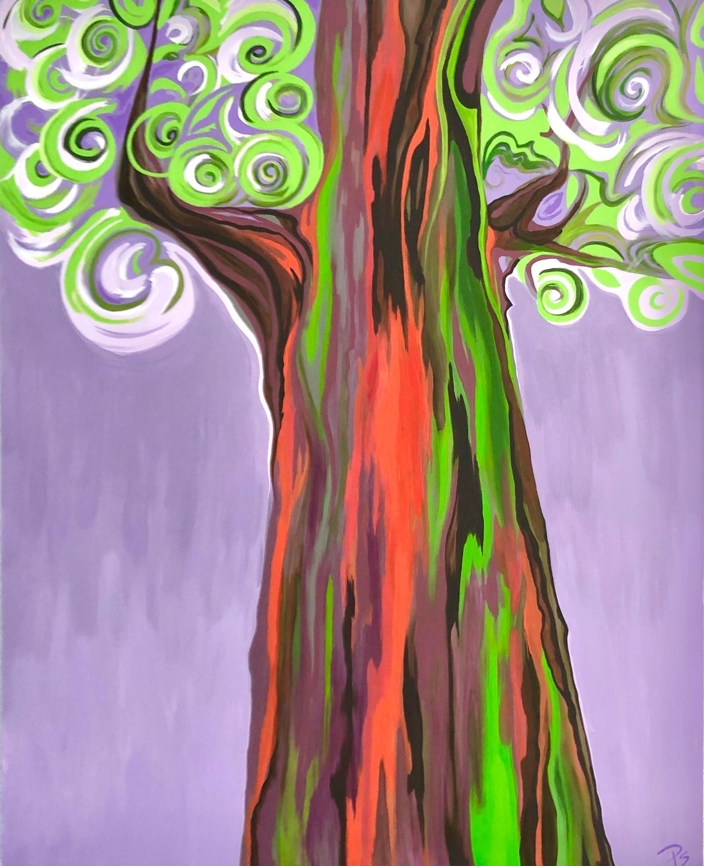 Rainbow Eucalyptus
