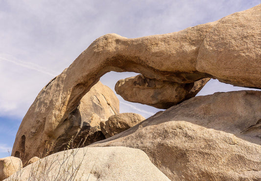 The Arches at Joshua Tree (Marcy Cagan)