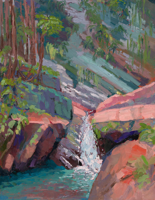 Hidden Falls (Janet Nelson)