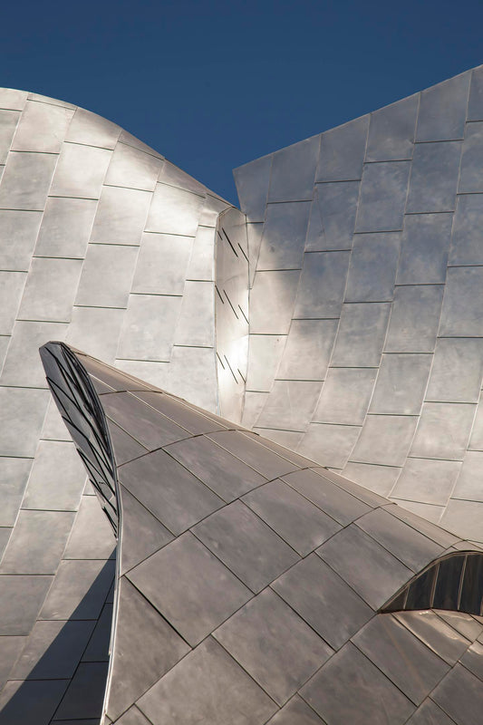 Disney Concert Hall Abstract (Frank Cortese)