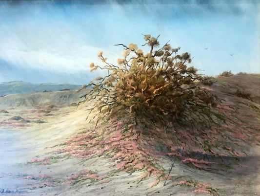 Desert Brush (Bill Denham)