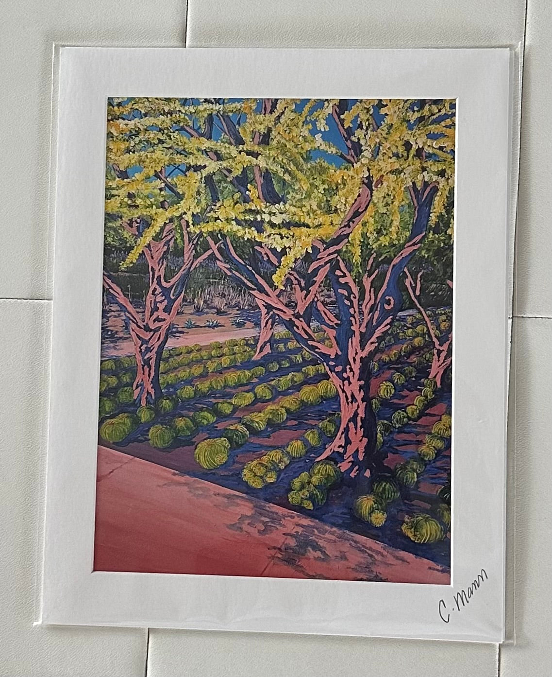 ‘Sunlit Shadows’ (Craig Mann) – 2