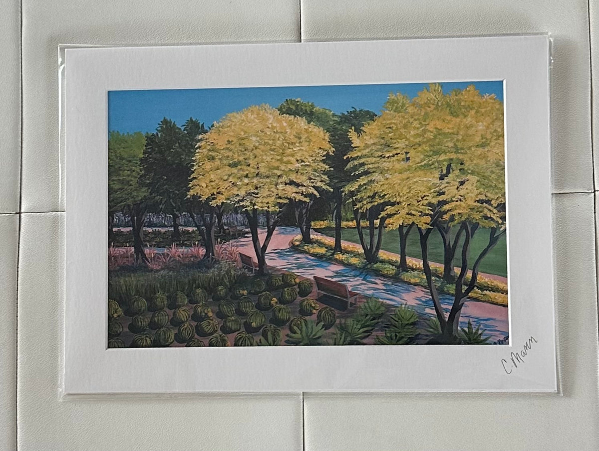 ‘Organized Branches’ (Craig Mann) – 2