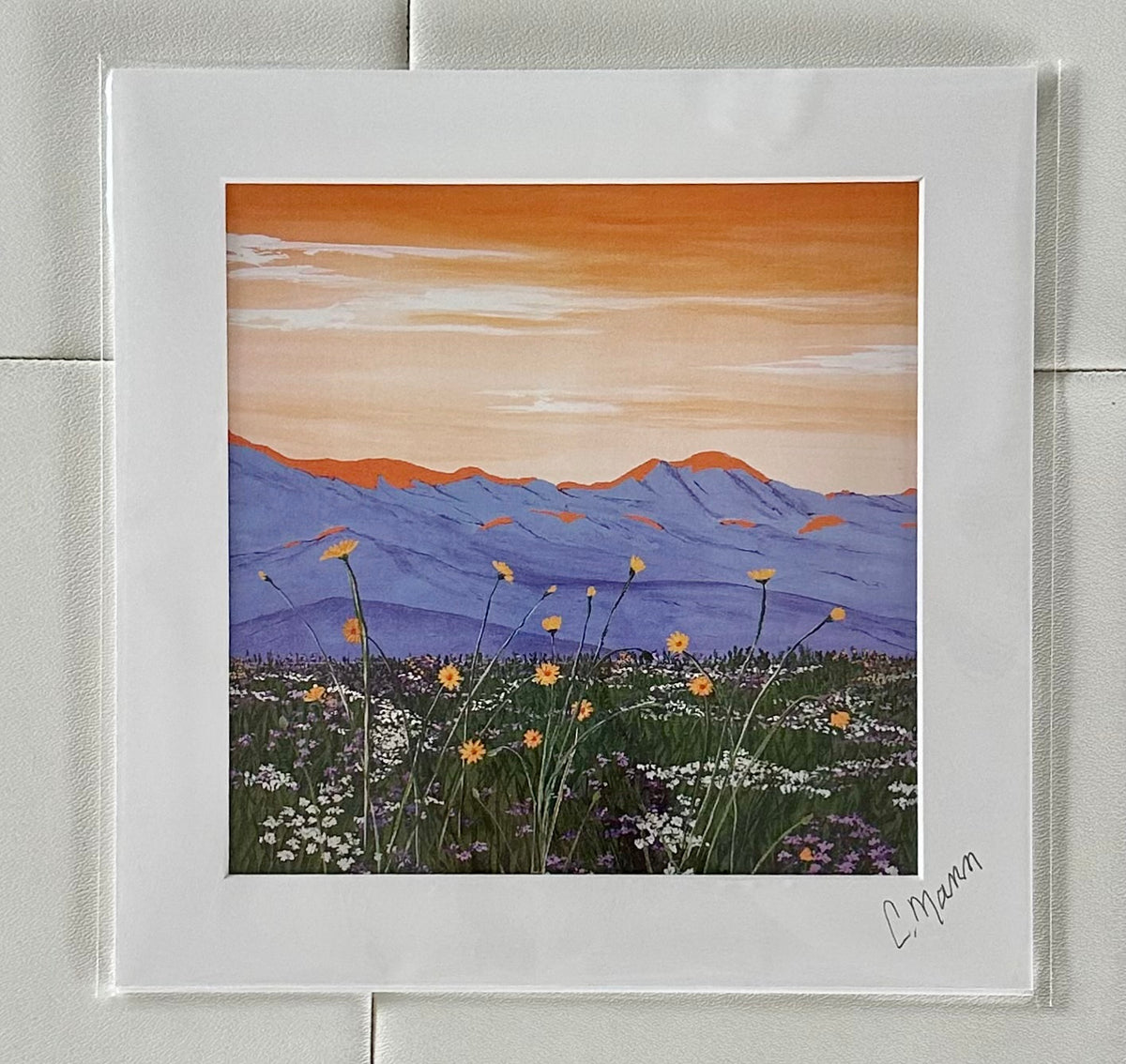 ‘Super Bloom Dawn’ (Craig Mann) – 2
