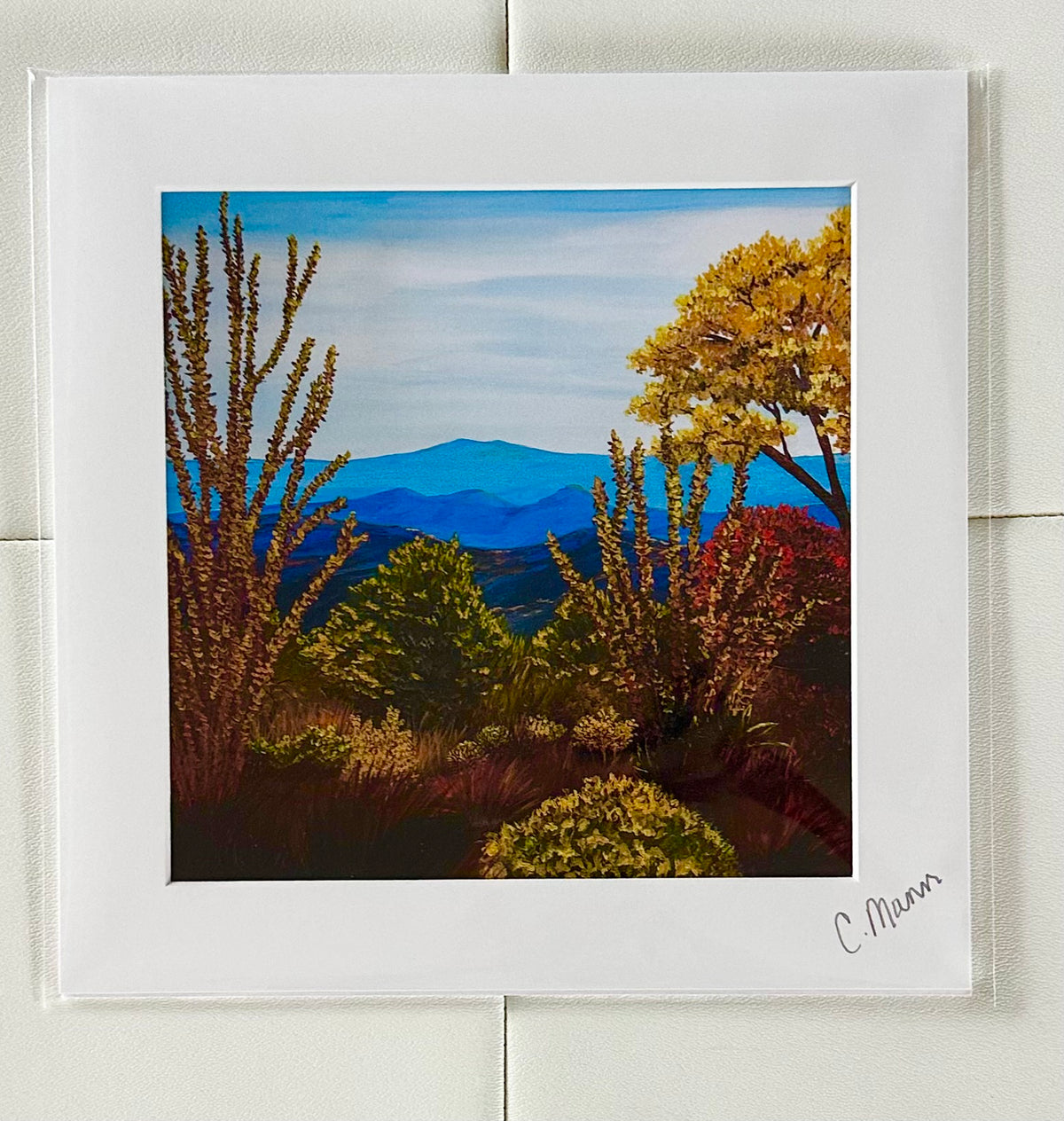 ‘Desert Garden’ (Craig Mann) – 2
