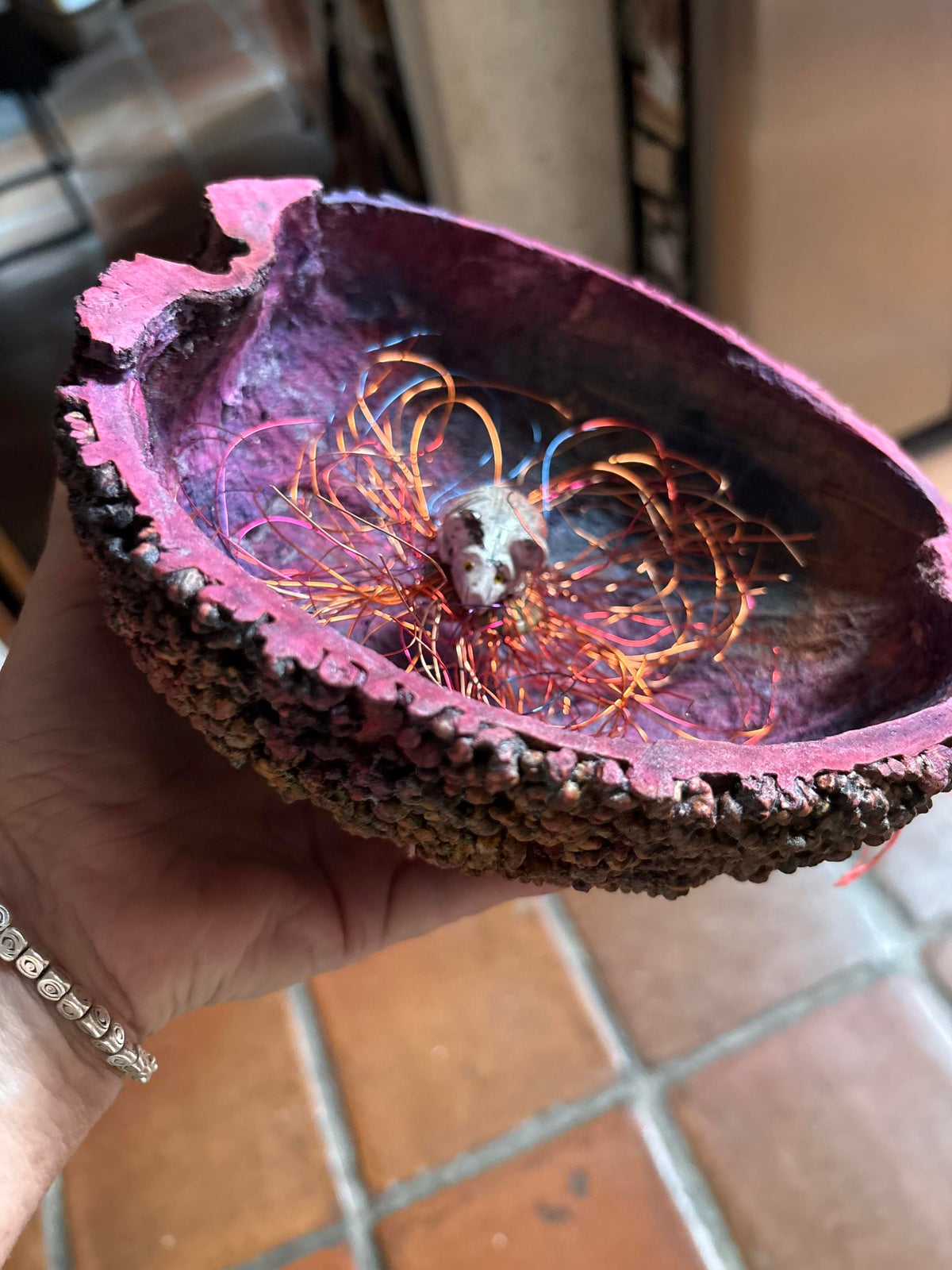 Wart gourd bowl with mouse nest (Debra Jenkins) – 2