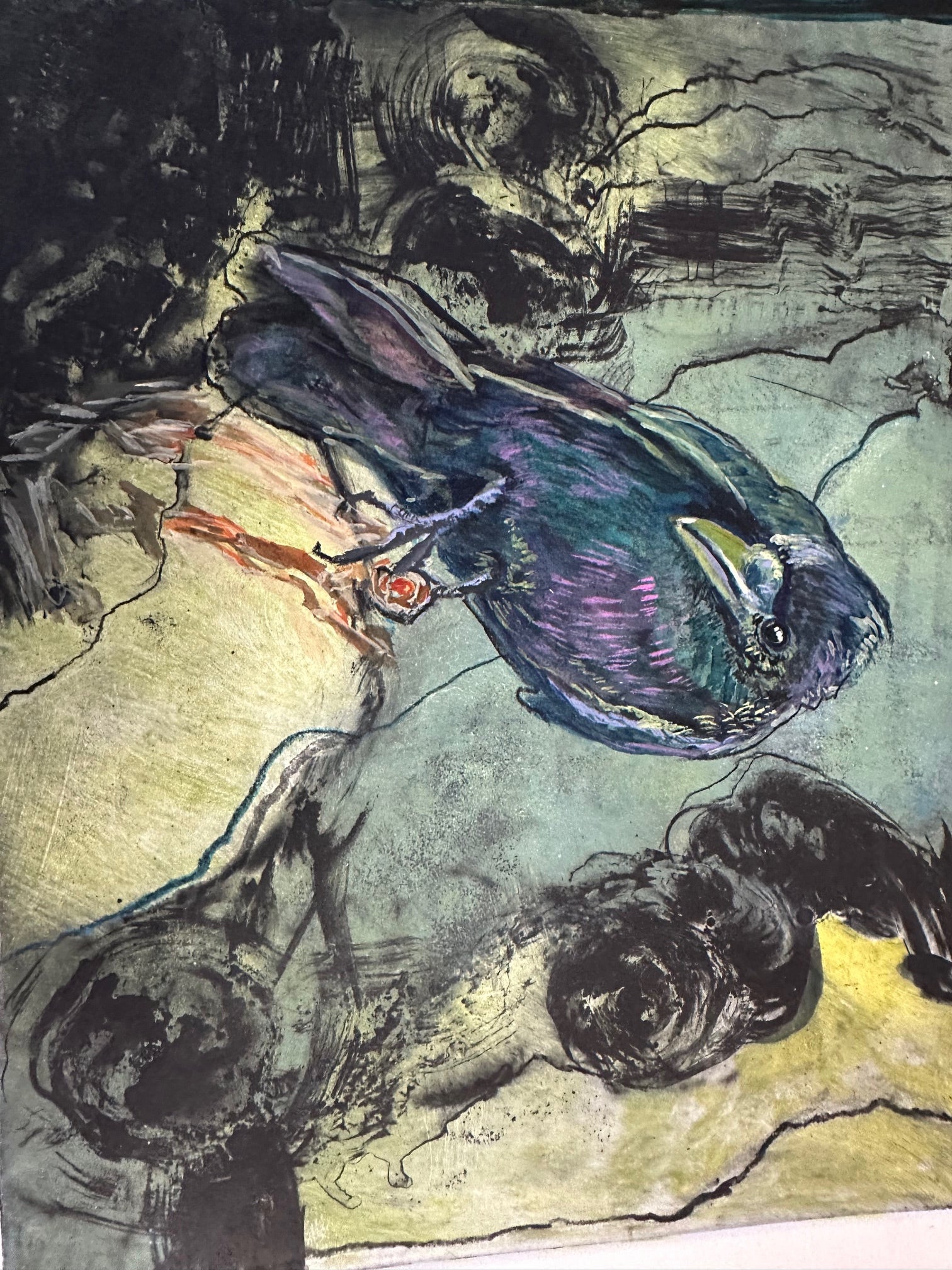 Matted original solar prints (Angela Koenig) – 2