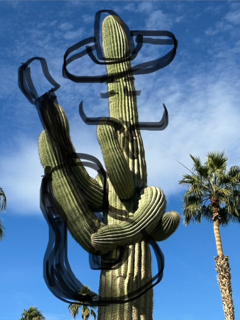 Cactus Seranade (Bette Ann Libby) – 2