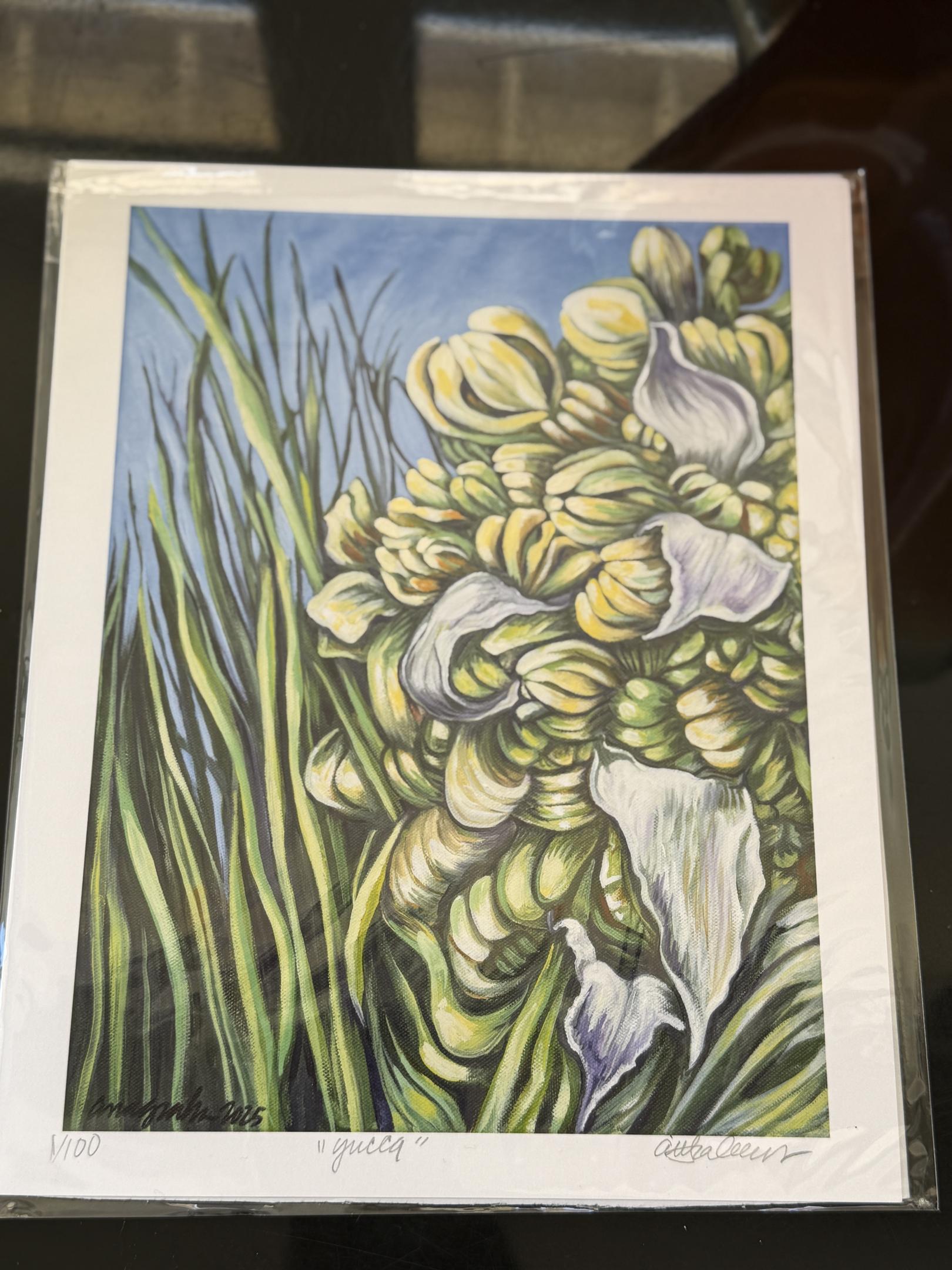 Yucca (Anna Graham) – 2