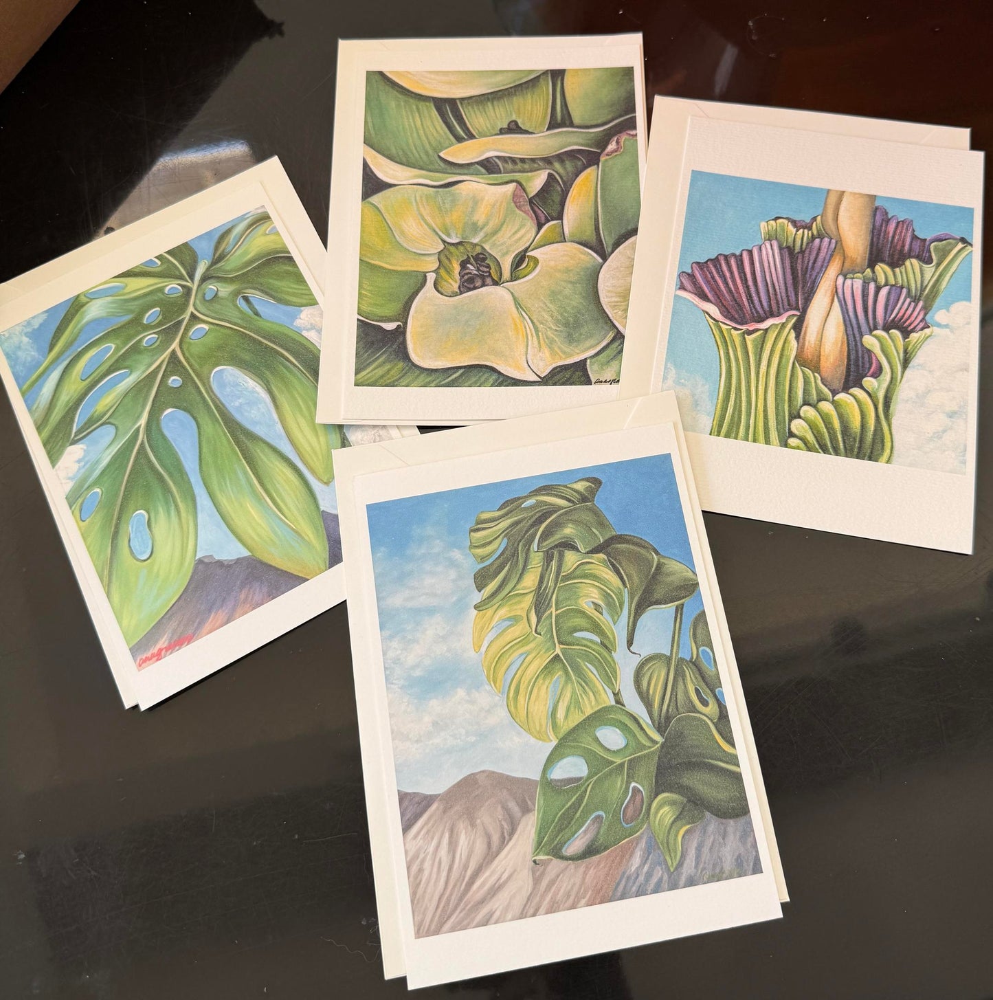 Desert flora postcard & envelope set of 4 (Anna Graham) – 2