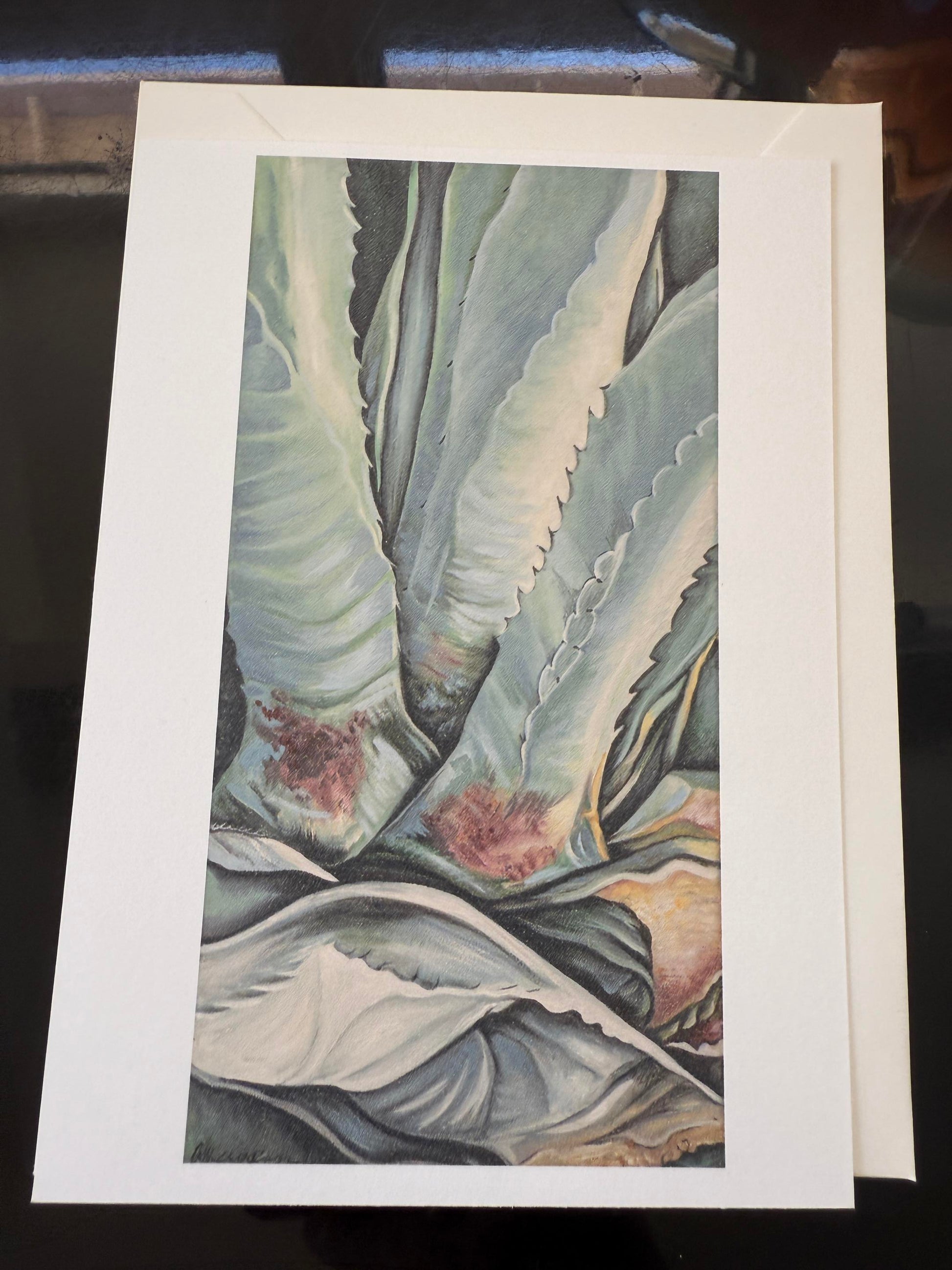 Aloe 5x7 postcard/envelope giclee (Anna Graham) – 2