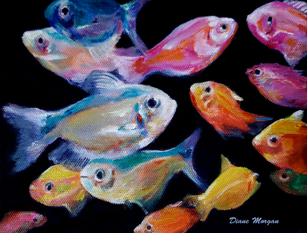 Fish Tank (Diane Morgan) – 2
