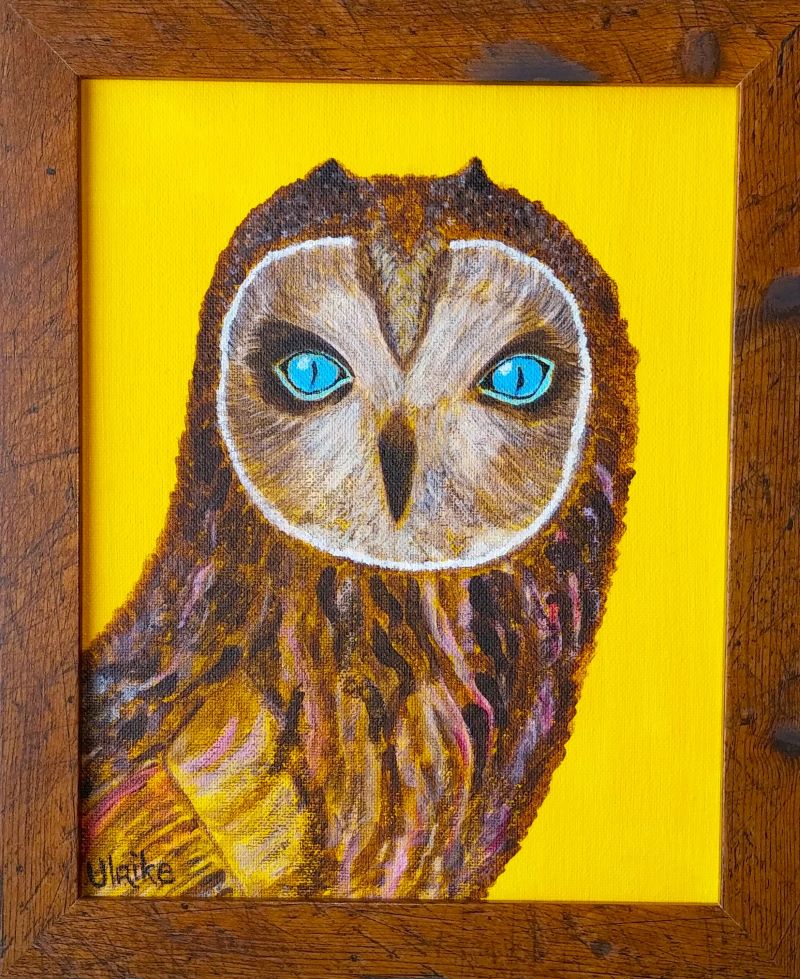 Blue Eyed Owl (Ulrike Maria) – 2