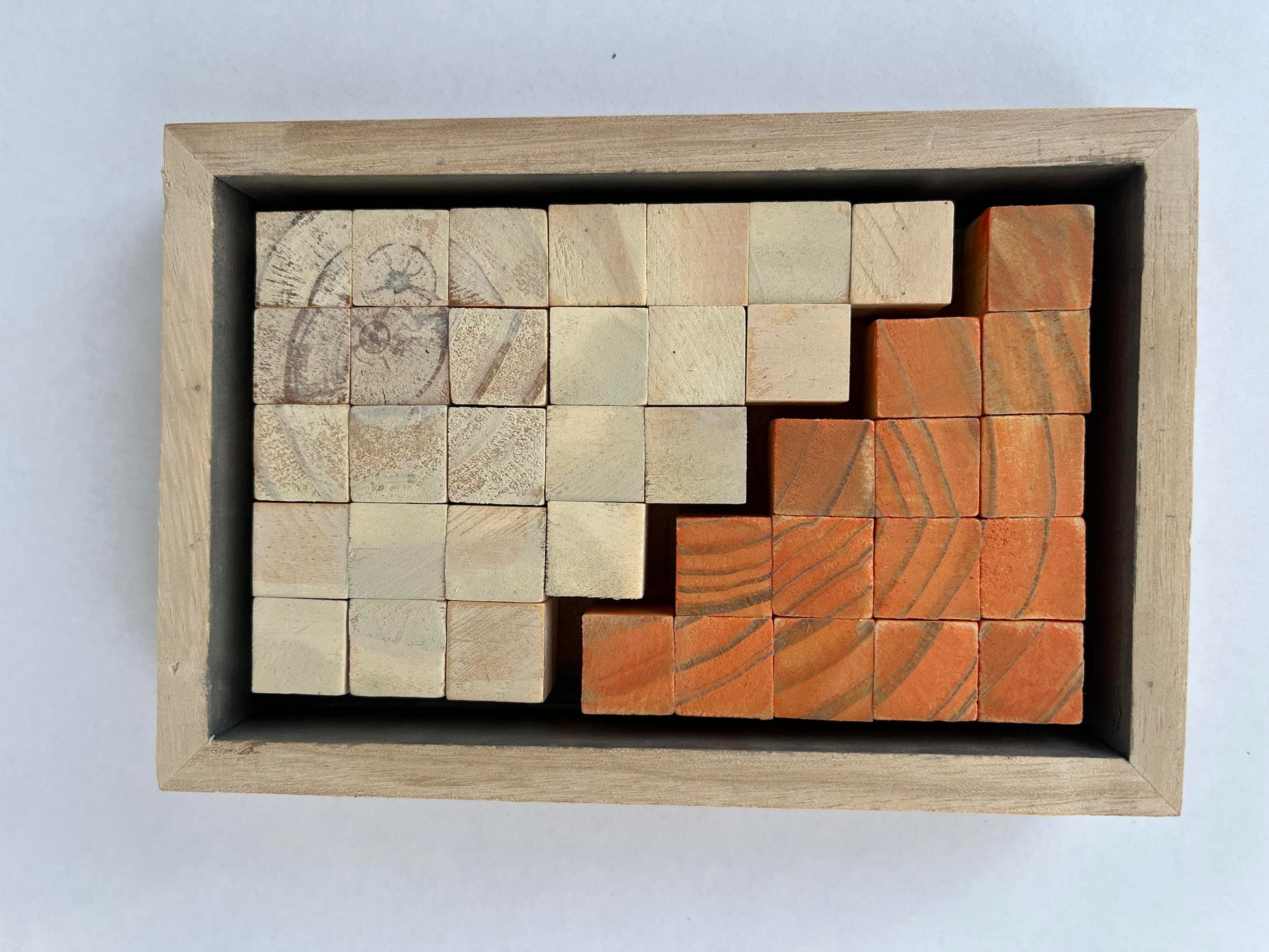 Tree Rings (Merritt Price) – 2