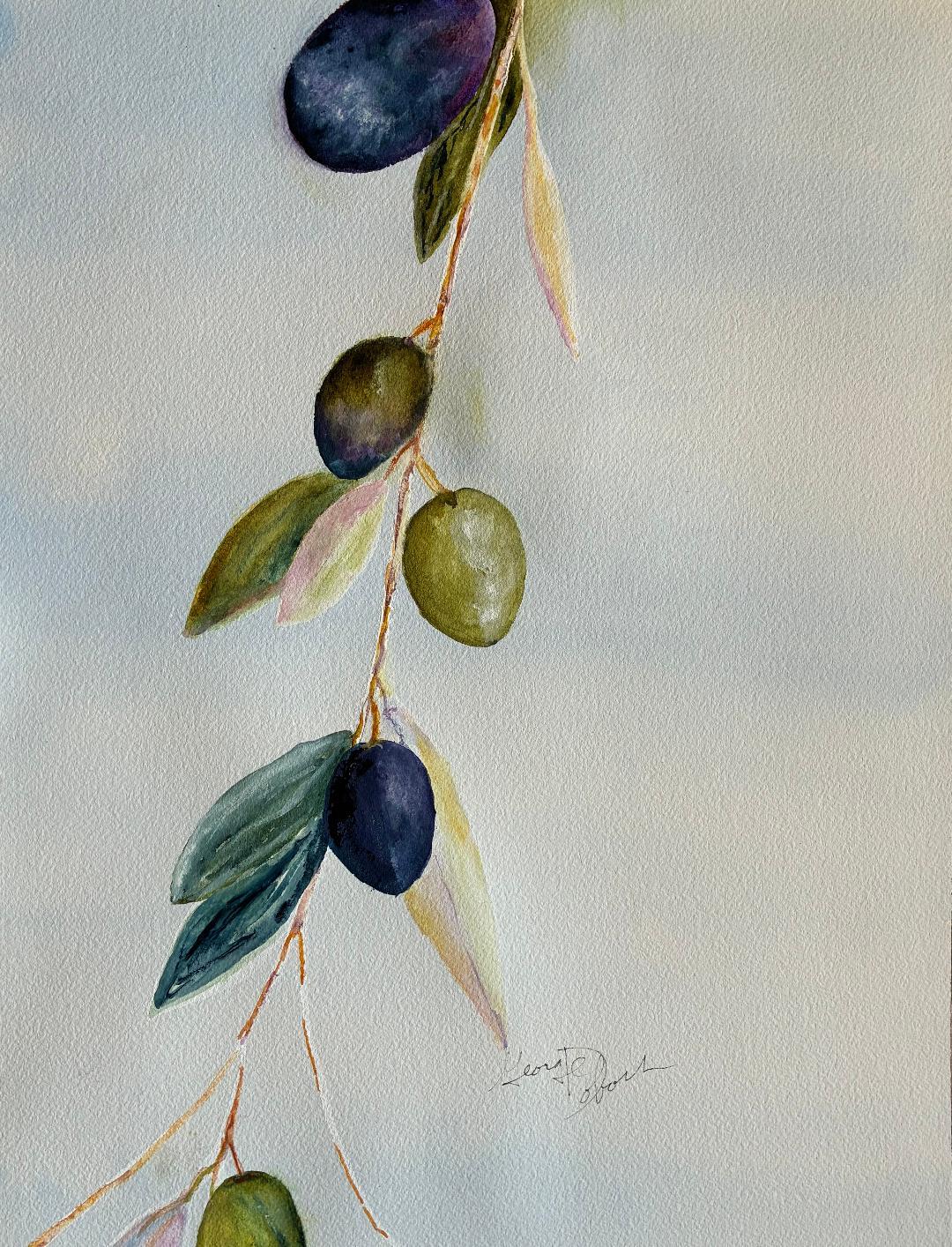 Olive Branch (George Dobosh)