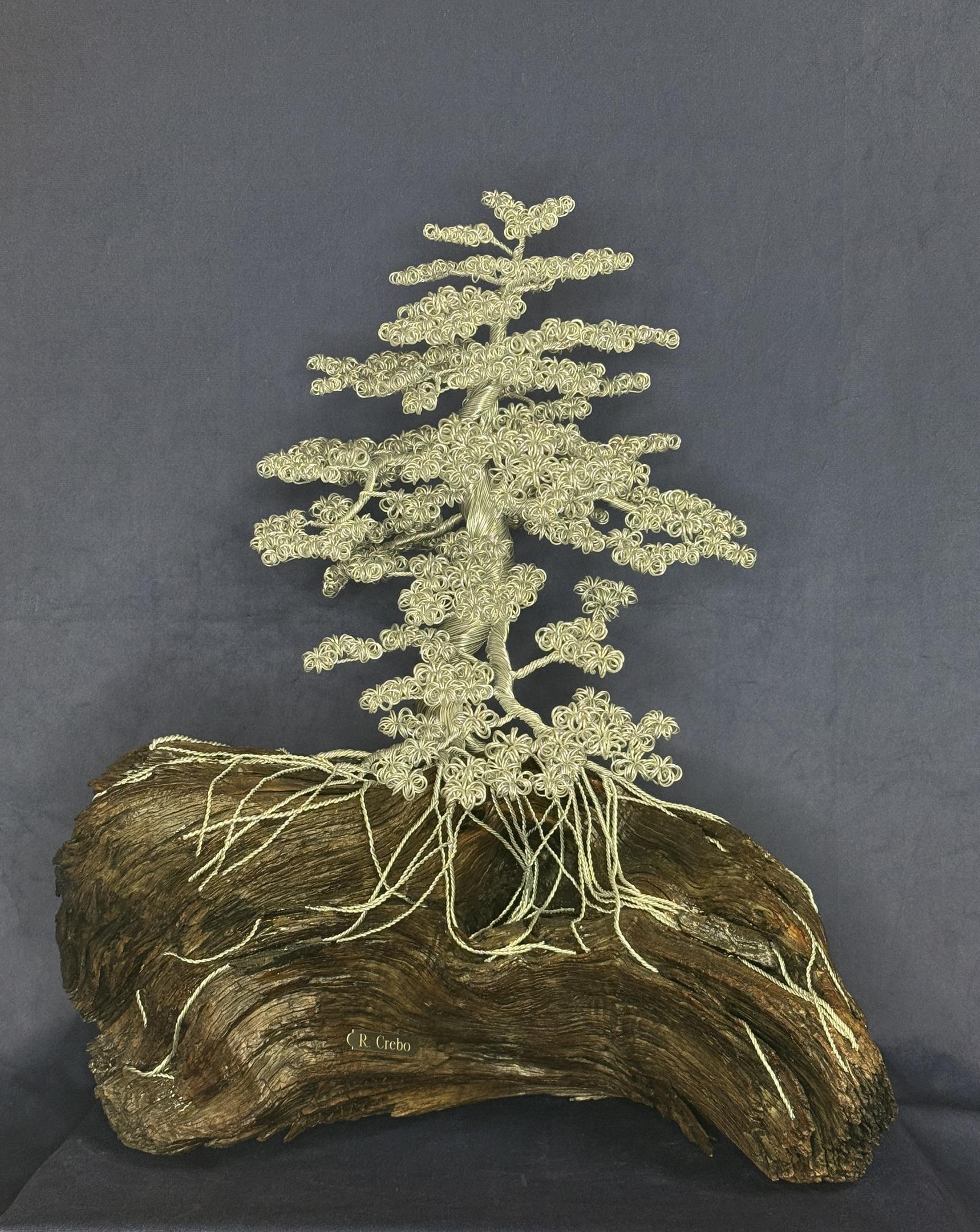Wire Bonsai 26 (Bob Crebo)