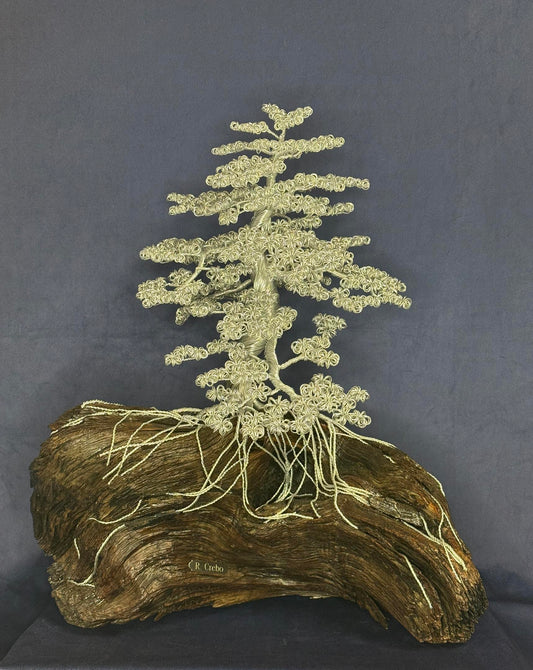 Wire Bonsai 26 (Bob Crebo)
