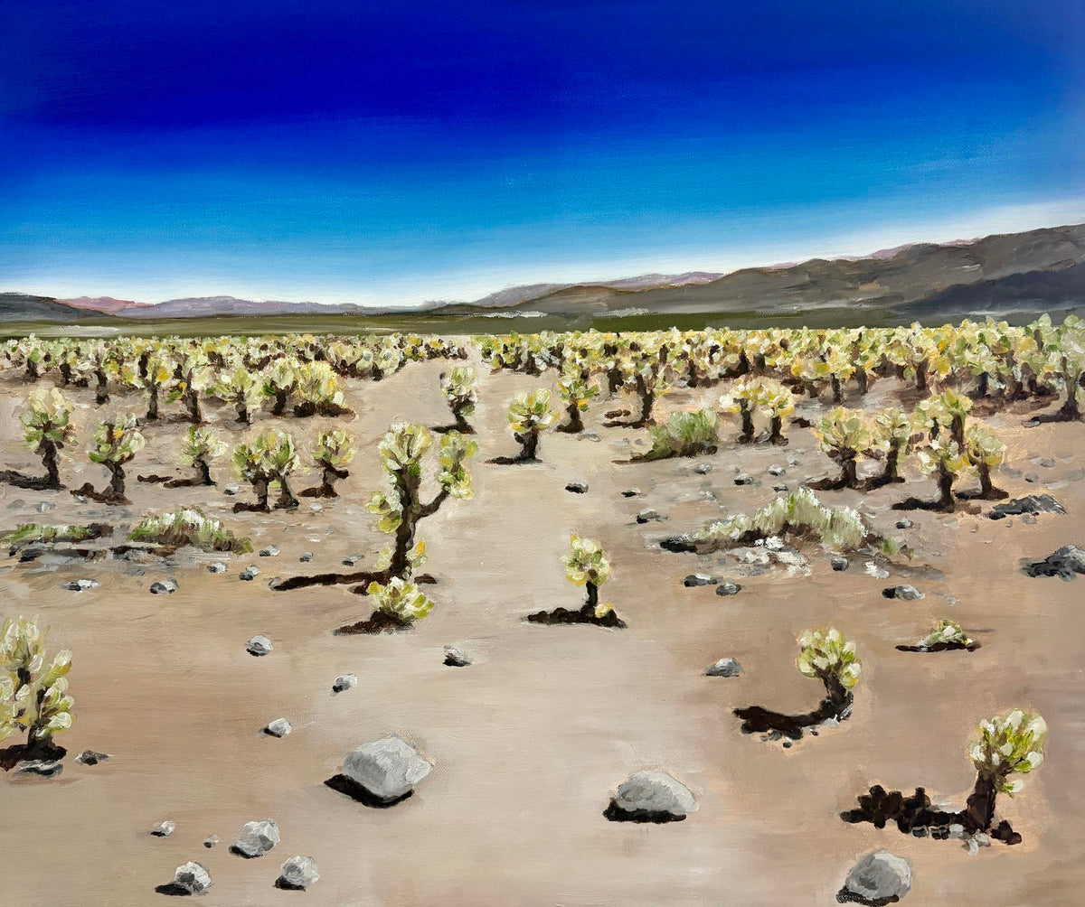 Cholla Cactus Garden (Carla Graifer)