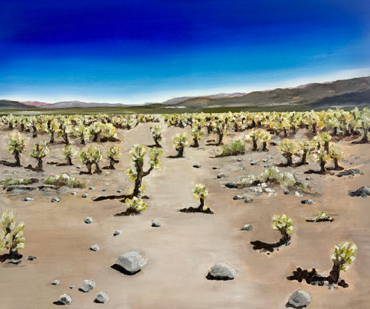 Cholla Cactus Garden (Carla Graifer)