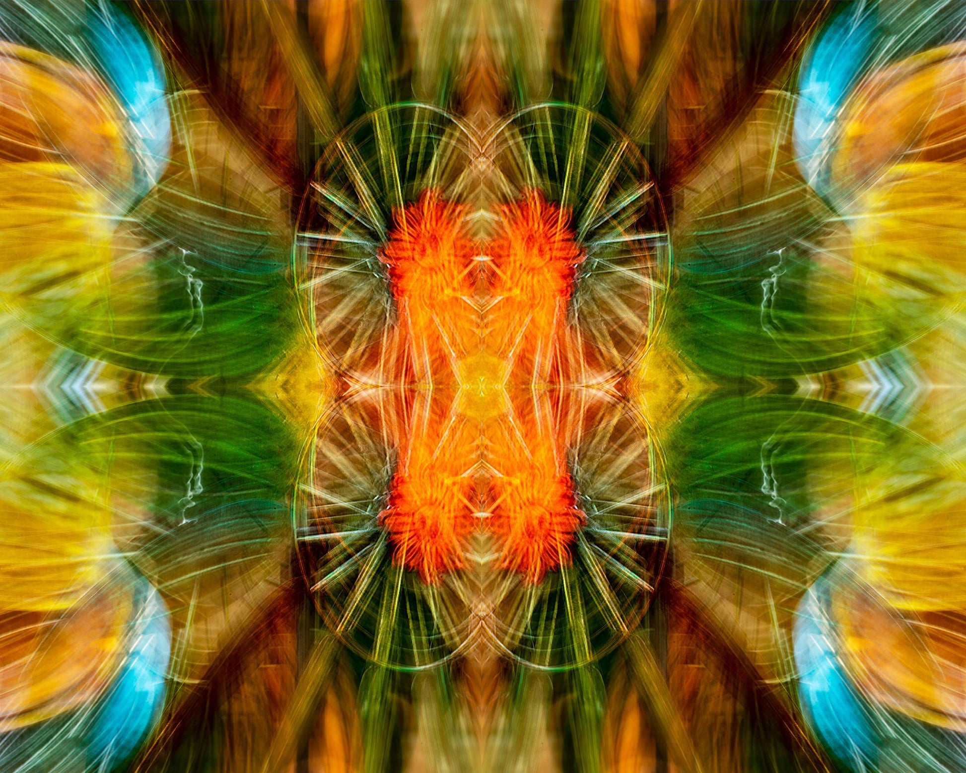 Whirls of Color