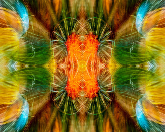 Whirls of Color