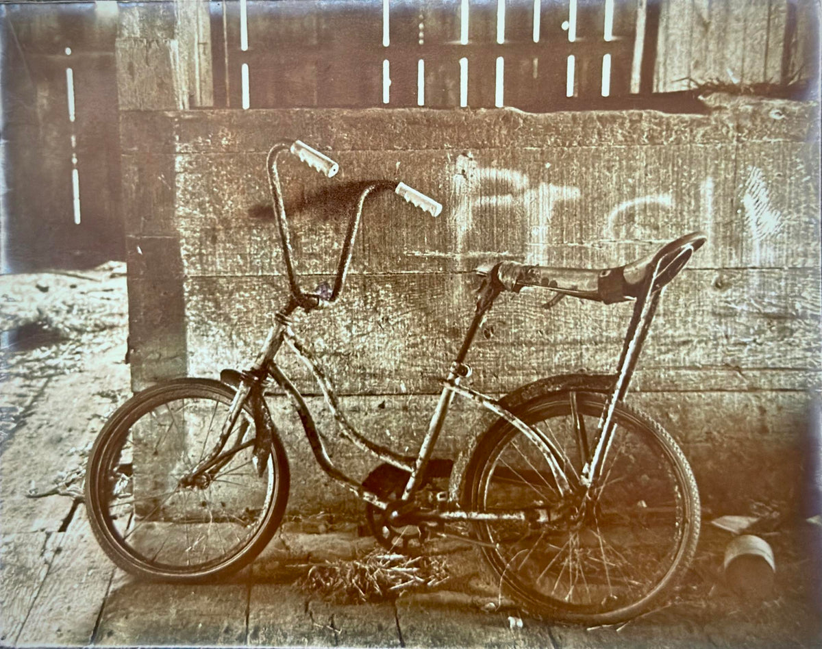 Bike with Fish (Lara Sievert)