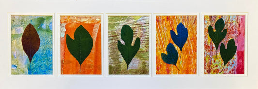 Sassafras 1-2-3-4-5 (Deborah Goldman)