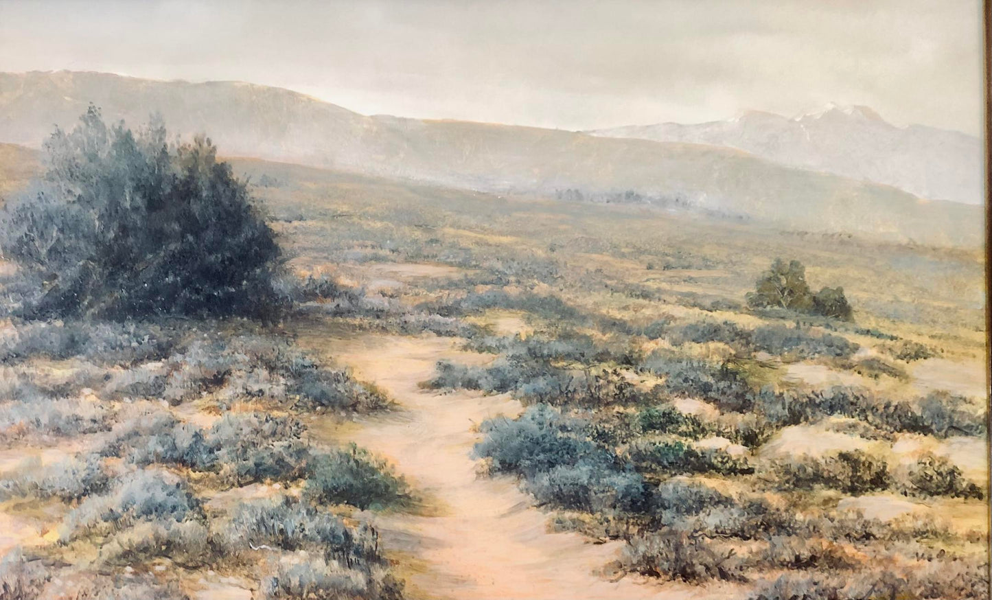 California landscape (Bill Denham)