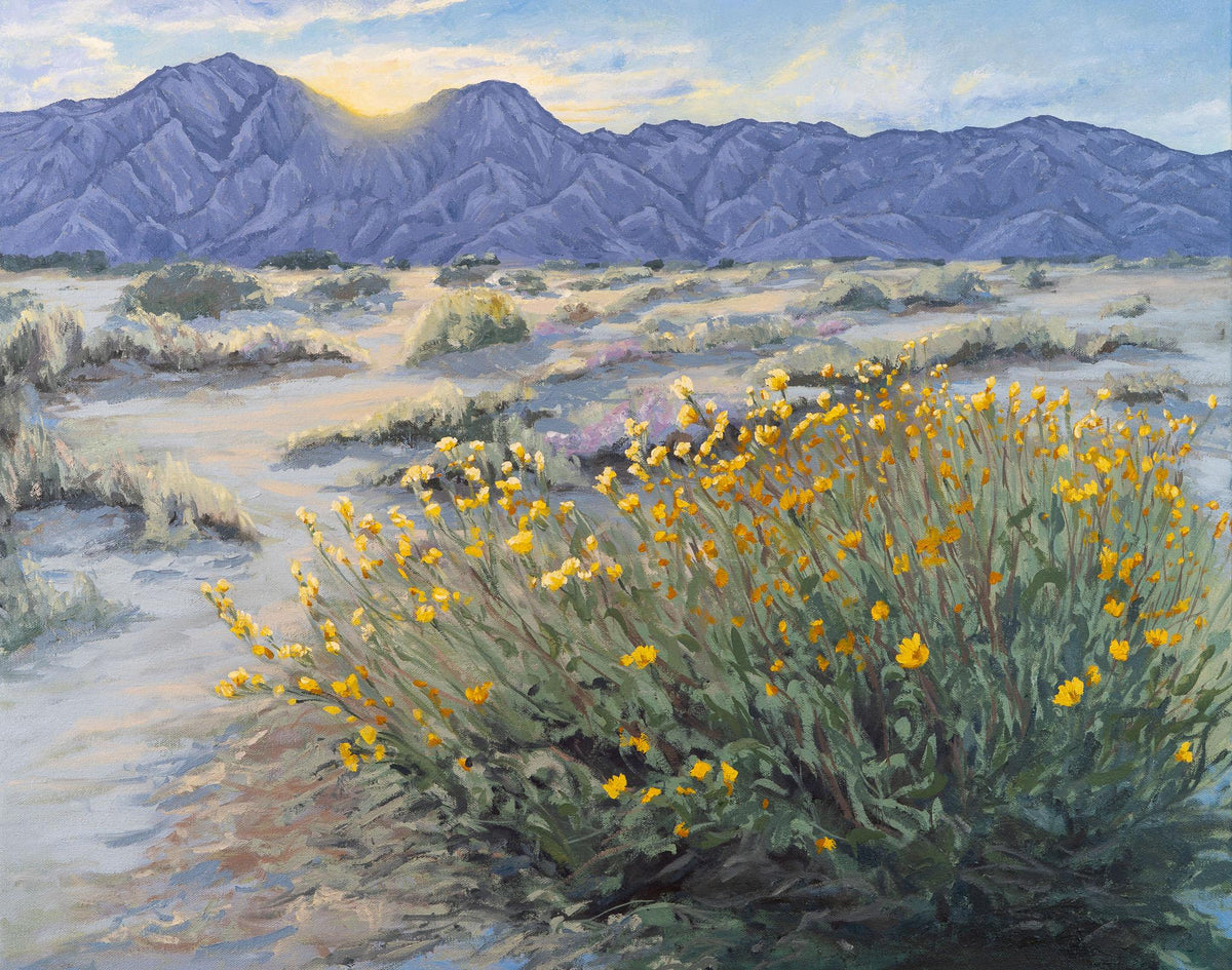 Courage (Janet Nelson)
