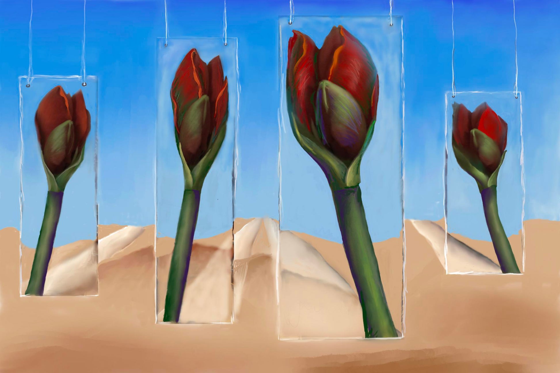 Ambiguous (Barbara Gothard)