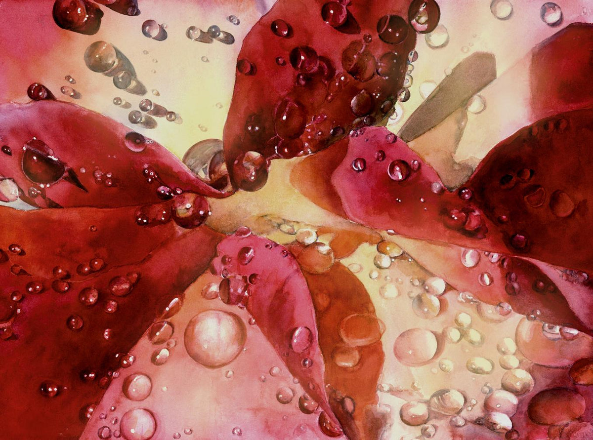 Raindrops on Roses (Diane Morgan)