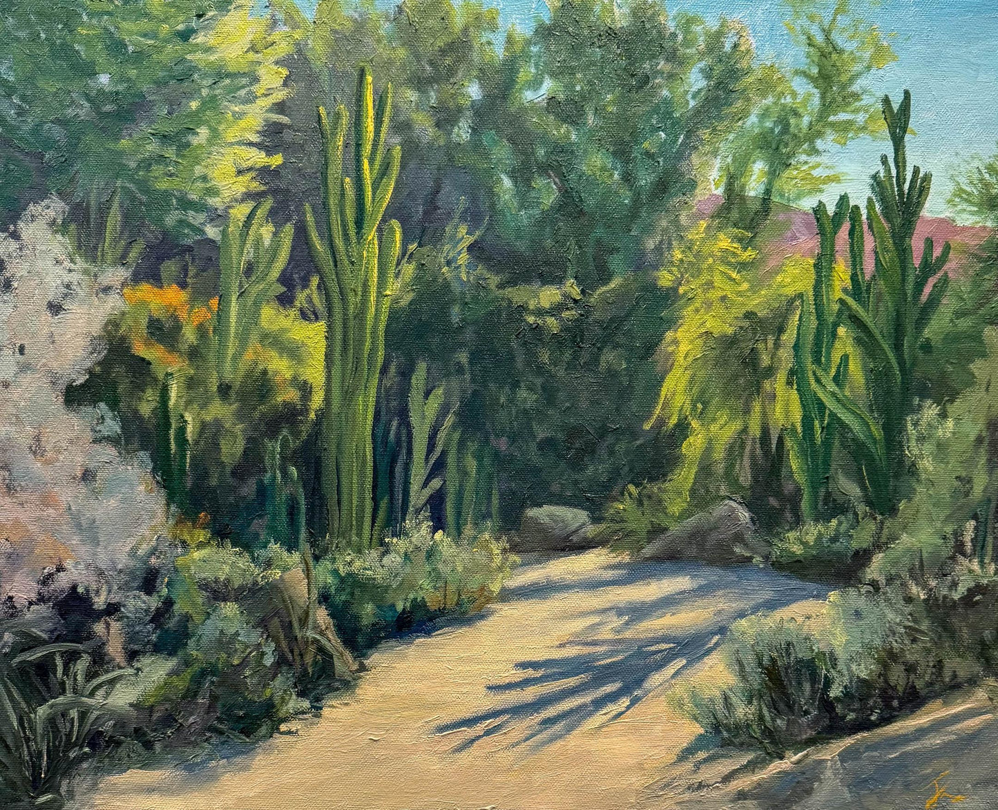 Sacred Shade (Janet Nelson)