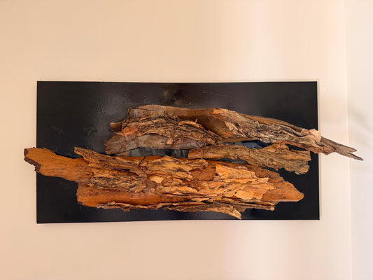 Paperbark Tree Sculpture 1 (Josh Tanz)