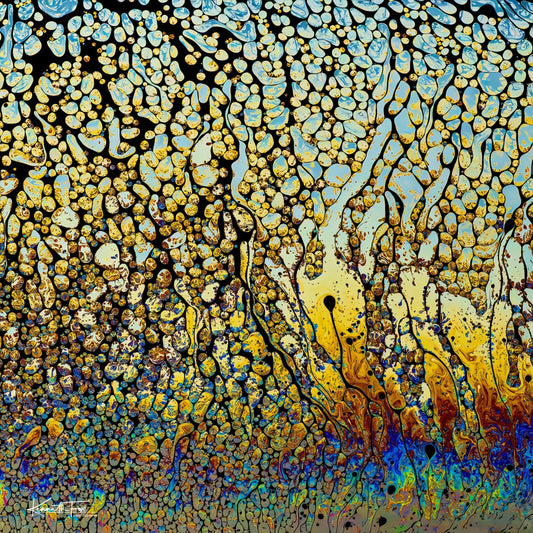 Patterns of Creation No 1 The Masterpiece Begins (Kenneth Fox)