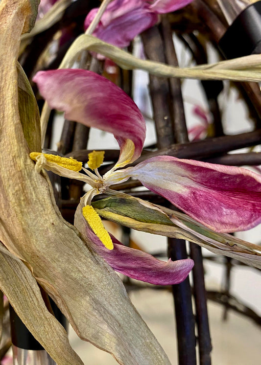 Beauty at Every Moment – 2