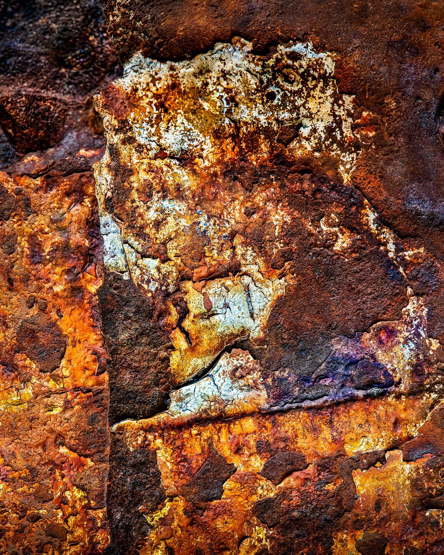 Nature's Palette (Rod Sexton)