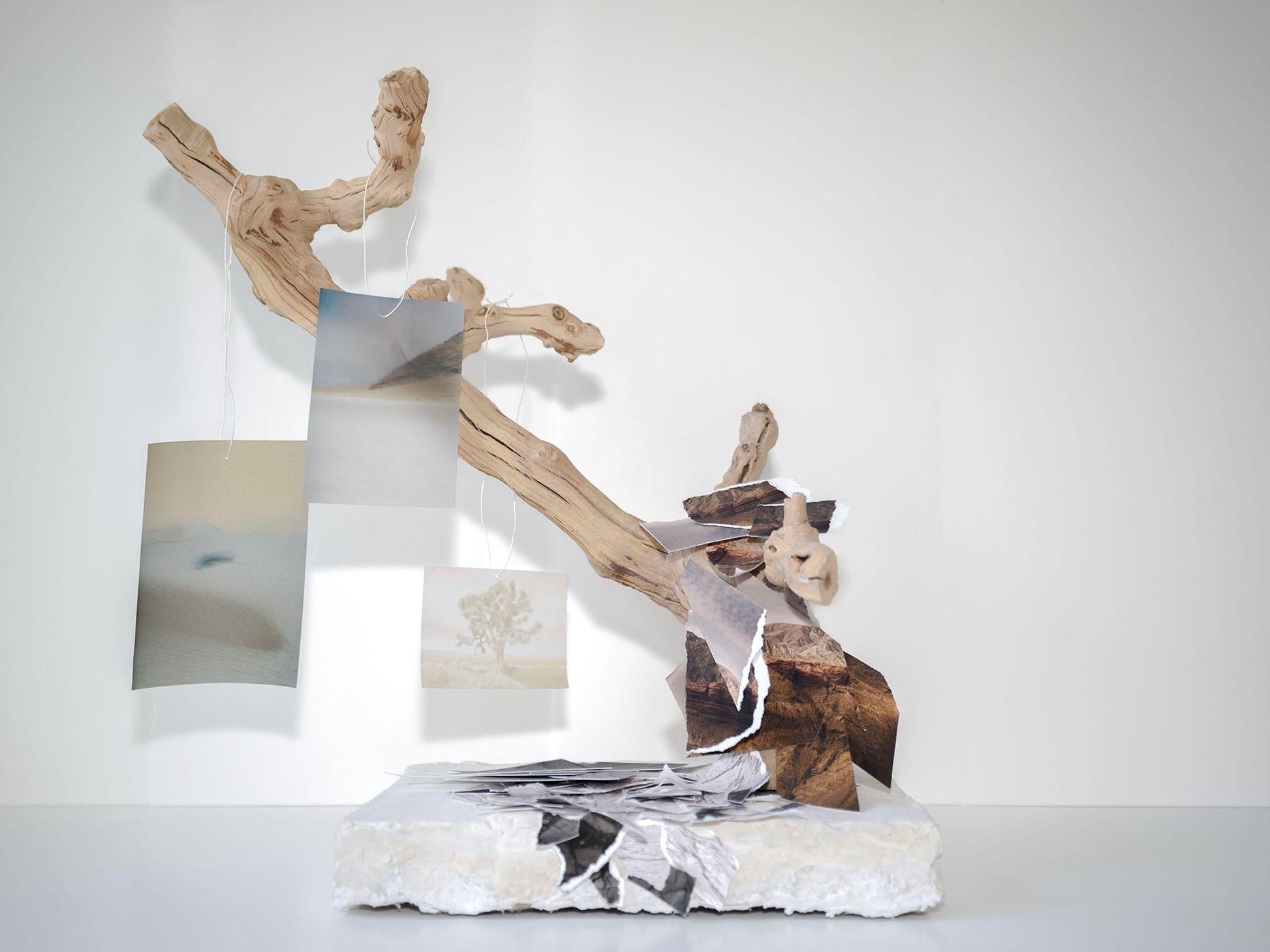 Desert Record (Karen Elizabeth Baker)