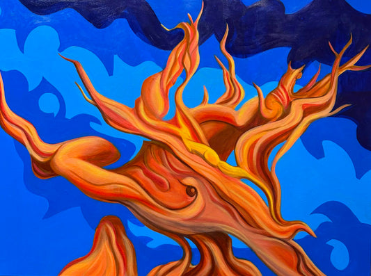 Methuselah dances for the Milky-way (Susan Frazier)