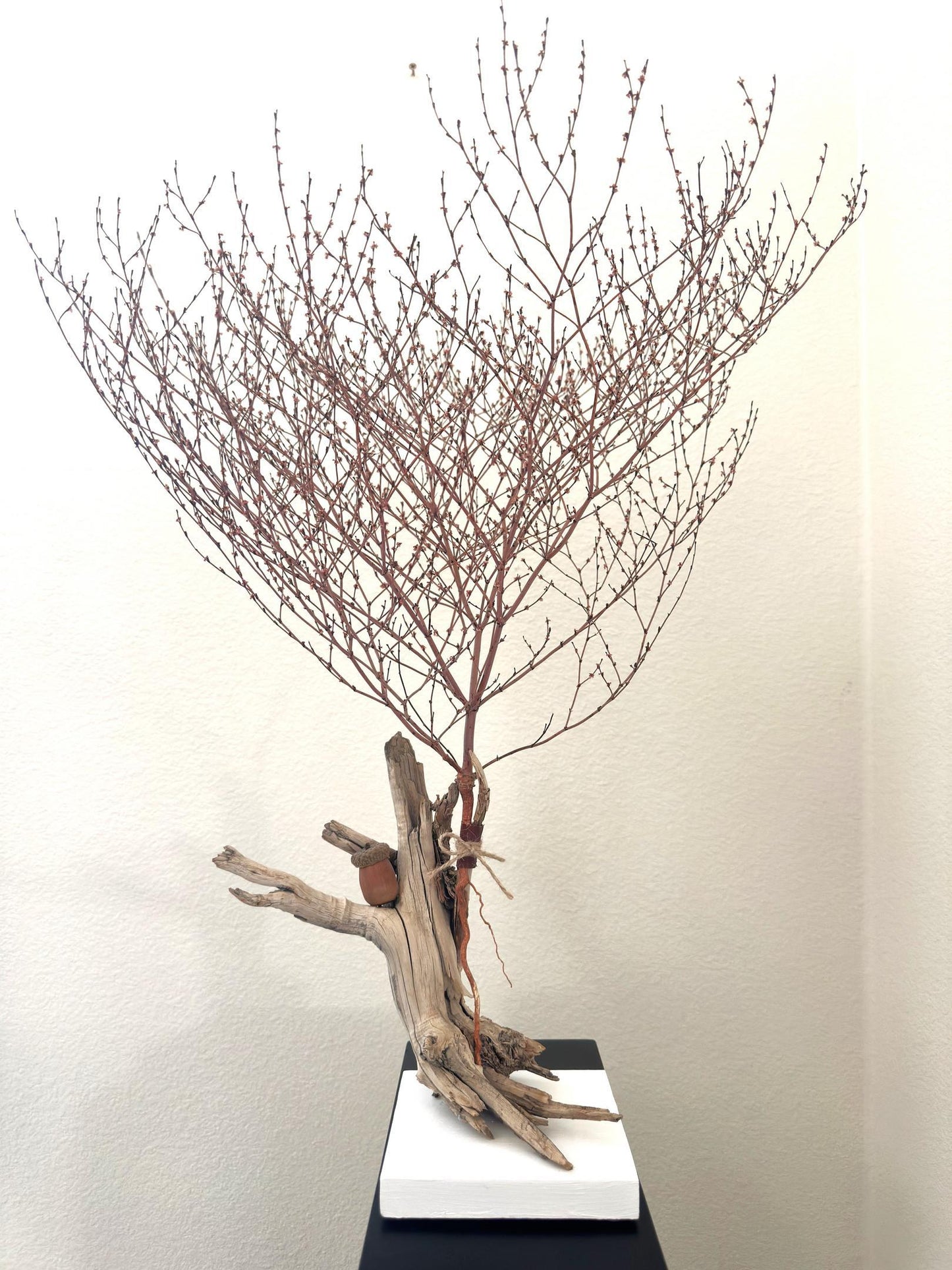 Floating on a Limb (Julia Briest)