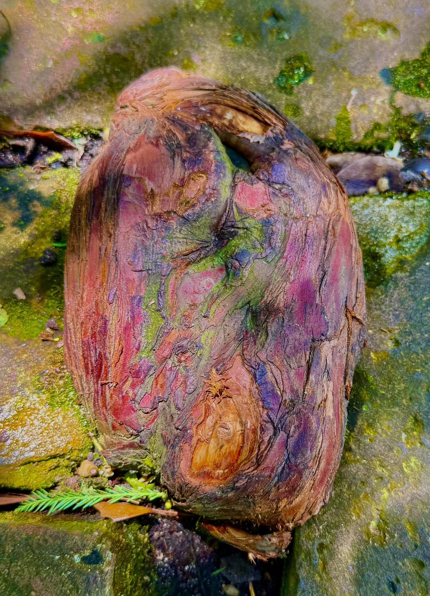 Rock New Orleans (Eve Adler)