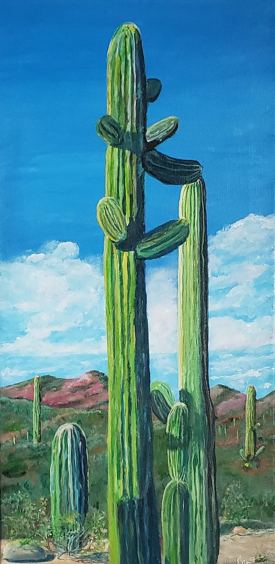 Saguaro Forest (Brent Gibb)