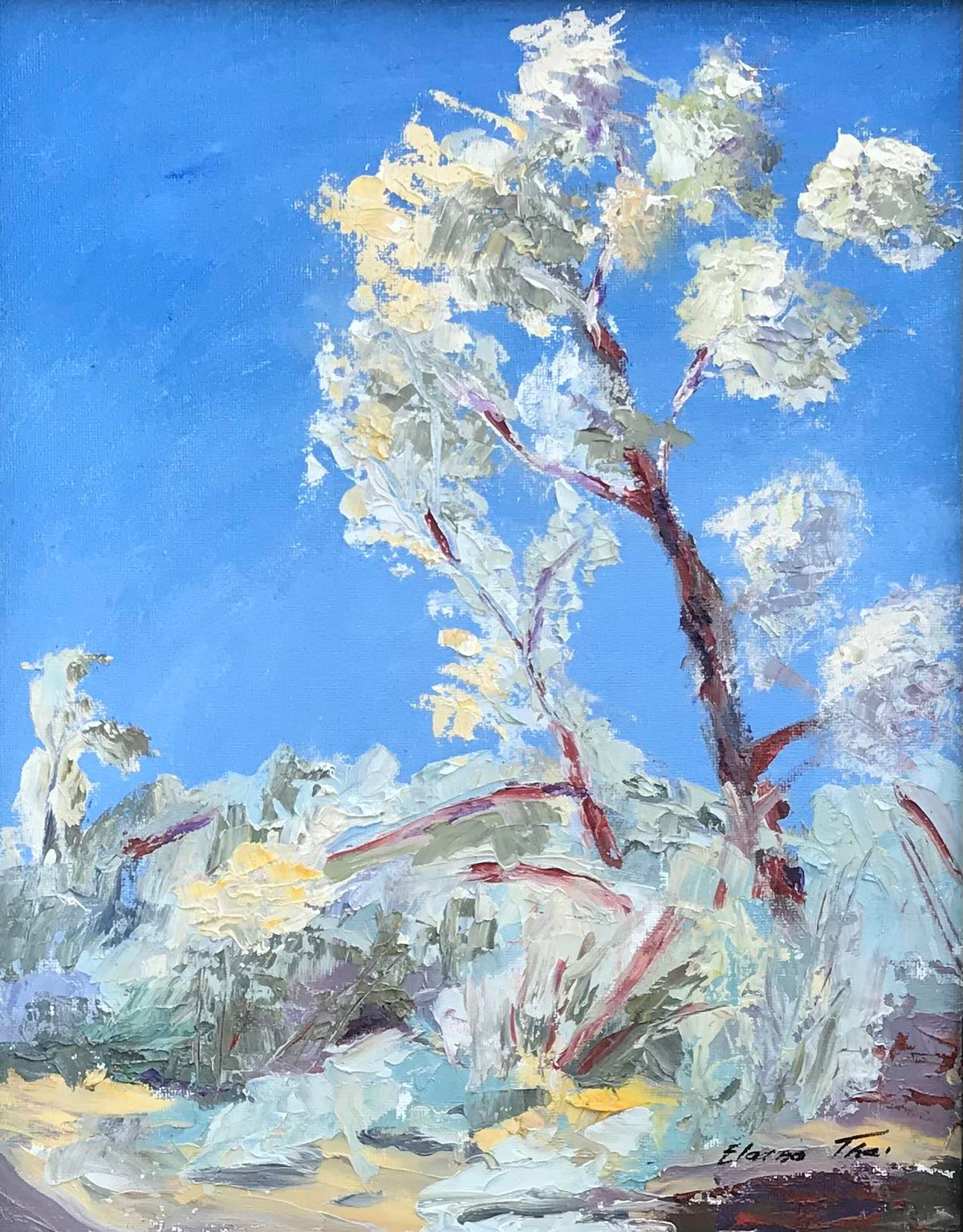 Smoke Tree (Elaine Trei)