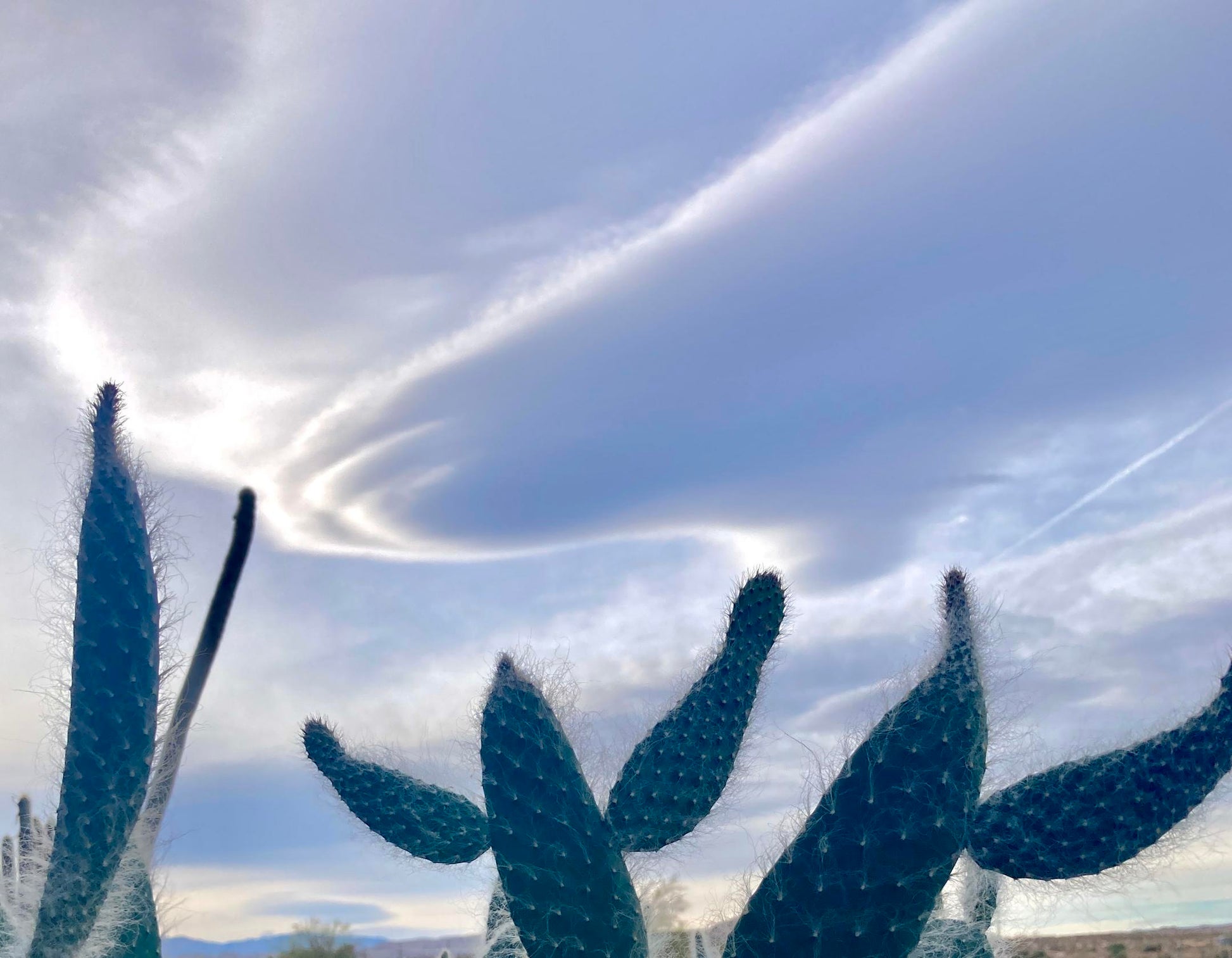 Joshua Tree Sky