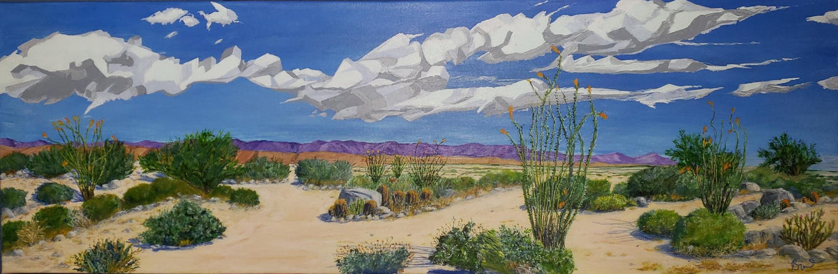 Ocotillos at Anza-Borrego Desert State Park (Brent Gibb)