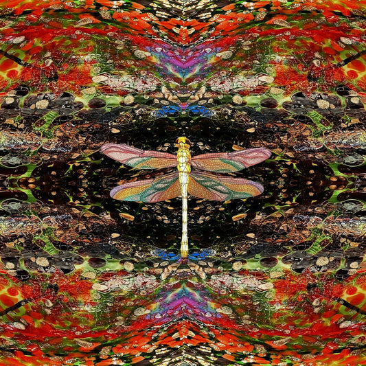 Dragonfly (Edwin Liew-Ferguson)