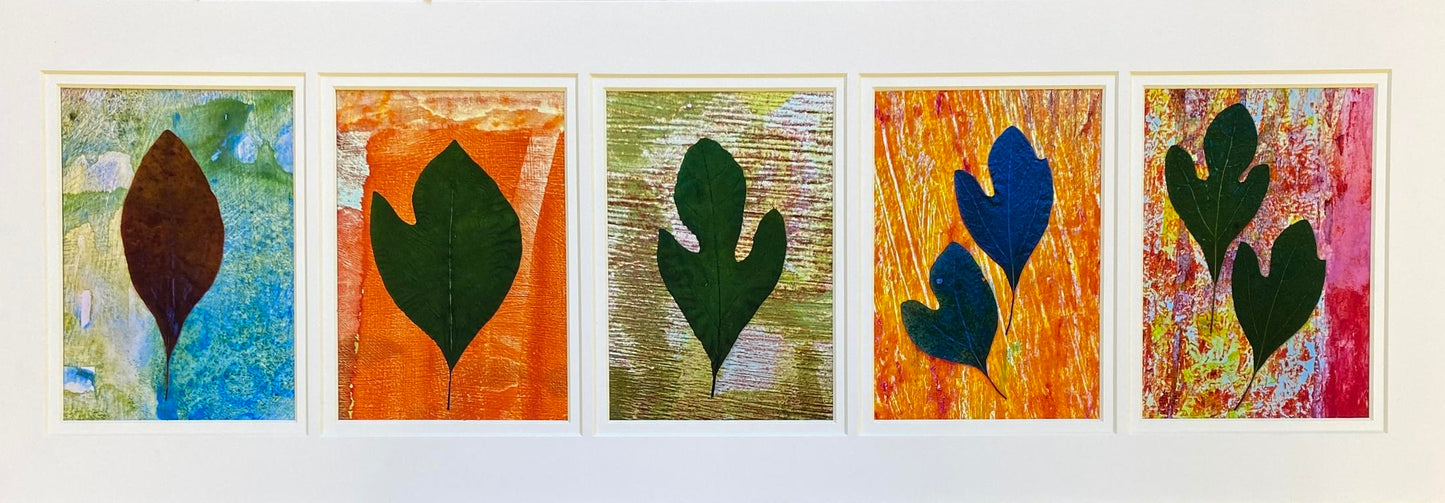 Sassafras 1-2-3-4-5 (Deborah Goldman)