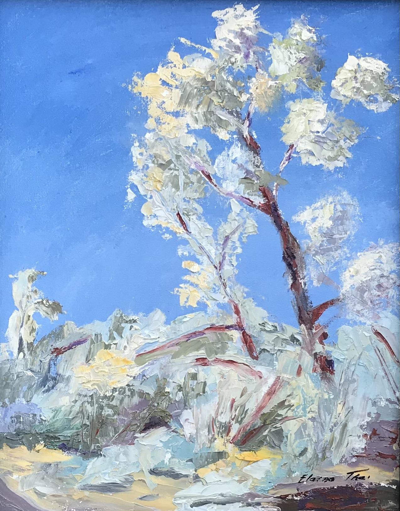Smoke Tree (Elaine Trei)