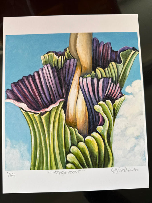 Corpse flower (Anna Graham) – 2