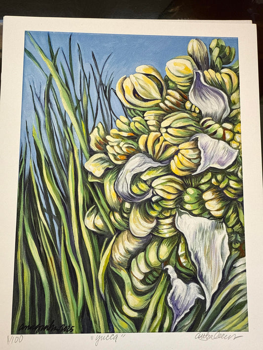 Yucca (Anna Graham) – 2